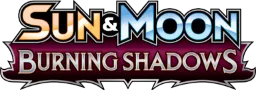Burning Shadows